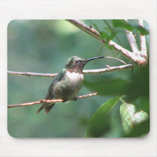 Tapis De Souris Baiser Mousepad de Hummer (Devant)