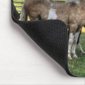 Tapis De Souris Baiser Pinto Stallion & Sorrel Mare Equine Photo (Coin)