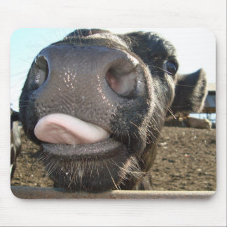 TAPIS DE SOURIS BAISERS DE MOO