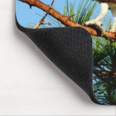 Tapis De Souris Balbuzard pêcheur dans la nature (Coin)