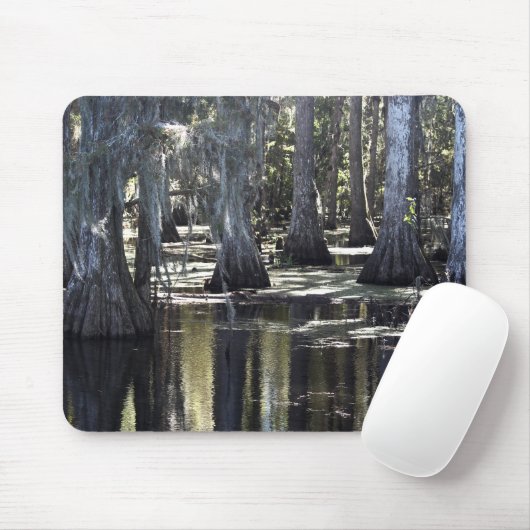 Tapis De Souris Bald Cypress (Avec souris)