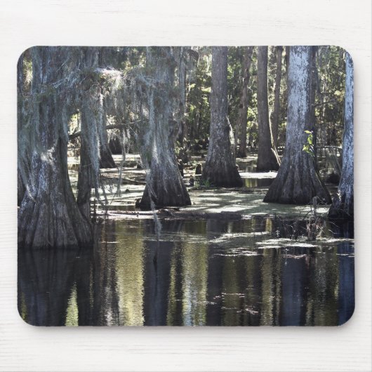 Tapis De Souris Bald Cypress (Devant)