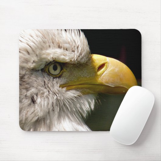 TAPIS DE SOURIS BALD EAGLE (Avec souris)
