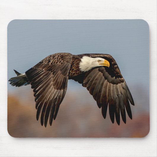 Tapis De Souris Bald Eagle en vol (Devant)