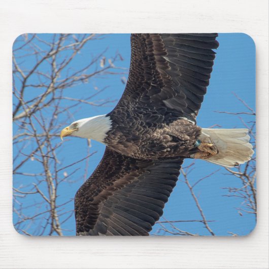Tapis De Souris Bald Eagle en vol (Devant)