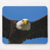 Tapis De Souris Bald Eagle Flyby Up Close (Devant)