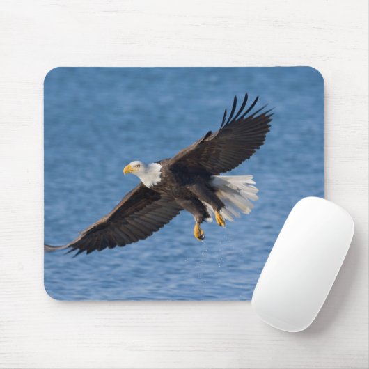 Tapis De Souris Bald eagle in flight (Avec souris)