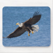 Tapis De Souris Bald eagle in flight (Devant)