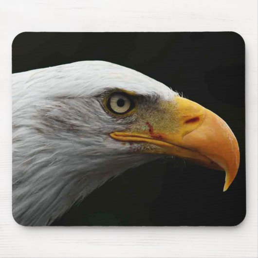 Tapis De Souris Bald Eagle mpcnm (Devant)