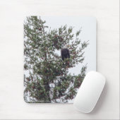 Tapis De Souris Bald Eagle P2825 (Avec souris)