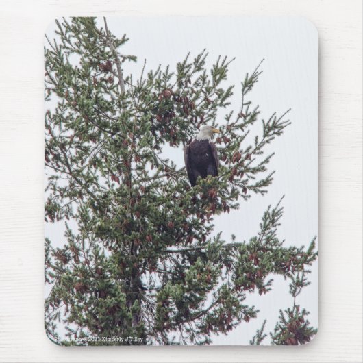 Tapis De Souris Bald Eagle P2825 (Devant)