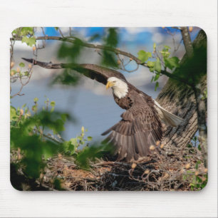 Tapis De Souris Bald Eagle quittant le nid