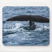 Tapis De Souris Baleine de Sperm (Devant)