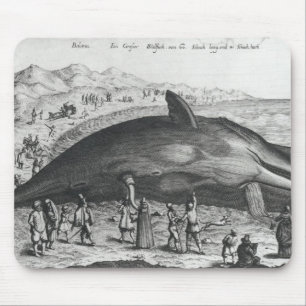 Tapis De Souris Baleine morte