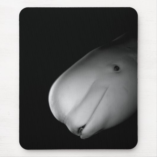 Tapis De Souris Baleine Mousepad de beluga (Devant)