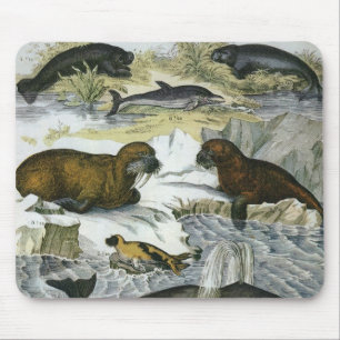 Tapis De Souris Baleines, phoques et morses, animaux marins vintag