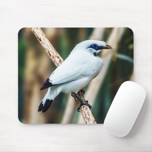 Tapis De Souris Bali Mina Bird Mousepad (Avec souris)