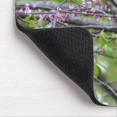 Tapis De Souris Baltimore Oriole (Coin)