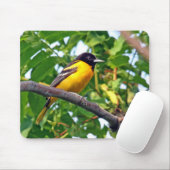 Tapis De Souris Baltimore Oriole Mousepad (Avec souris)