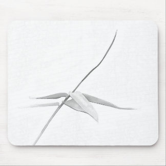Tapis De Souris Bambou - Mousepad