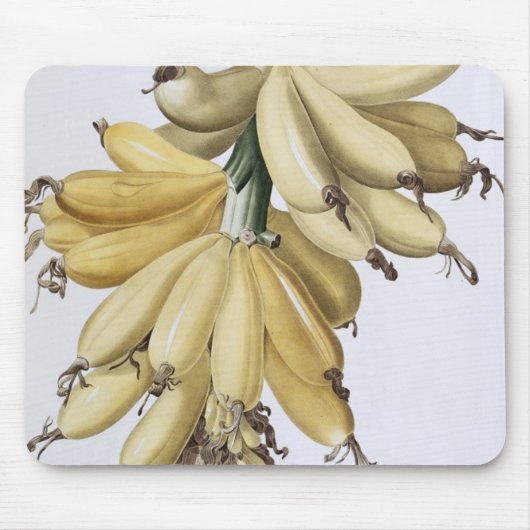 Tapis De Souris Banane, 1816 (Devant)