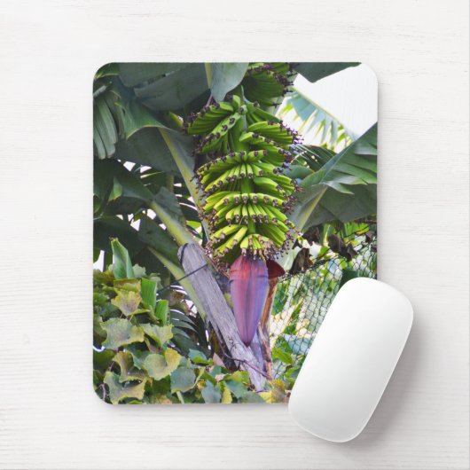 Tapis De Souris Bananier à Madère (Avec souris)