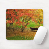 Tapis De Souris Banc d'automne (Avec souris)