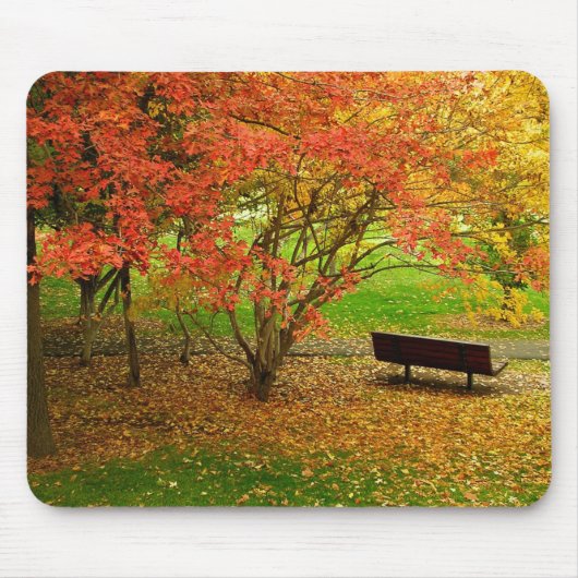 Tapis De Souris Banc d'automne (Devant)