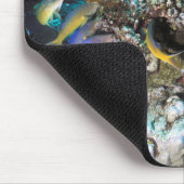 Tapis De Souris Banc de rougets autour d'un petit corail (Coin)