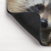 Tapis De Souris Bandit at Rest Cute Raccoon (Coin)