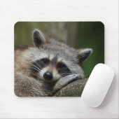 Tapis De Souris Bandit at Rest Cute Raccoon (Avec souris)