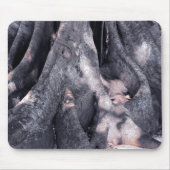 Tapis De Souris Banyan Tree (Devant)
