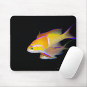 Tapis De Souris Bar blanc Anthias (Avec souris)