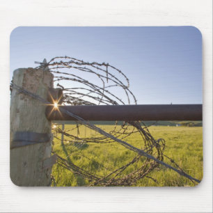 Tapis De Souris Barbelé roulé sur le fencerow près
