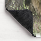 Tapis de souris barbu de colley (Coin)
