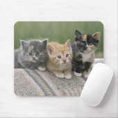 Tapis De Souris Barn Kittens sur une couverture à cheval (Avec souris)