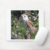 Tapis De Souris Barn Owl (Avec souris)