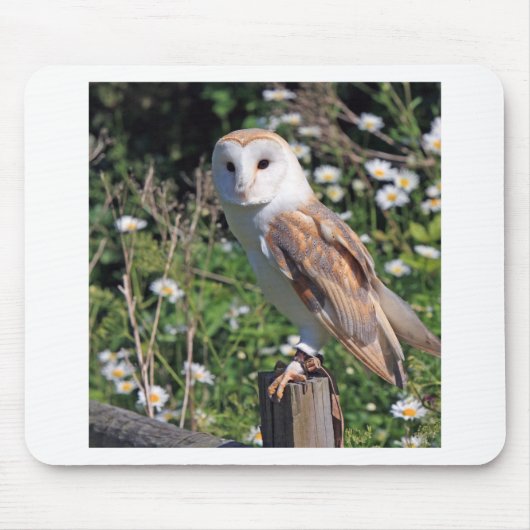 Tapis De Souris Barn Owl (Devant)