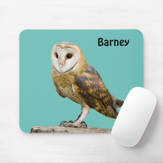 Tapis De Souris Barn Owl (Avec souris)
