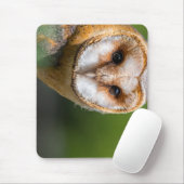Tapis De Souris barn owl, owl, oiseau (Avec souris)