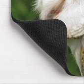 TAPIS DE SOURIS BARN OWLS (Coin)