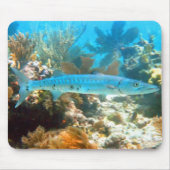 TAPIS DE SOURIS BARRACUDA MOUSEPAD (Devant)