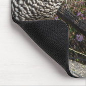 Tapis De Souris Barred Rock Hen (Coin)