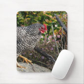 Tapis De Souris Barred Rock Hen (Avec souris)