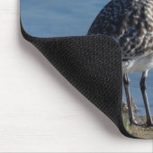 Tapis De Souris Basculement à ventre noir (Coin)