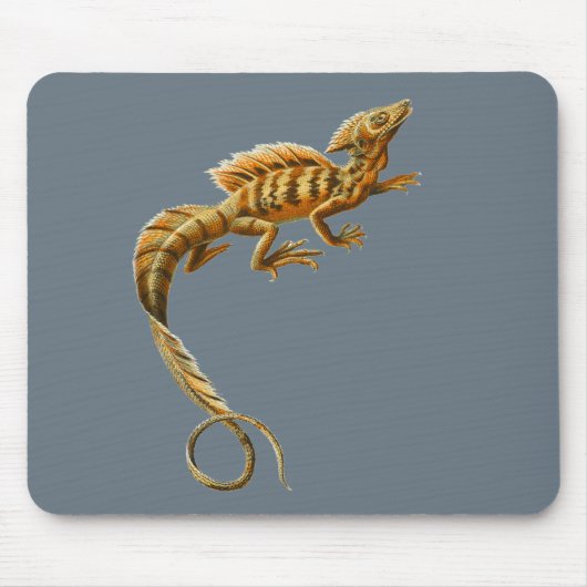 Tapis De Souris Basilic commun (Devant)