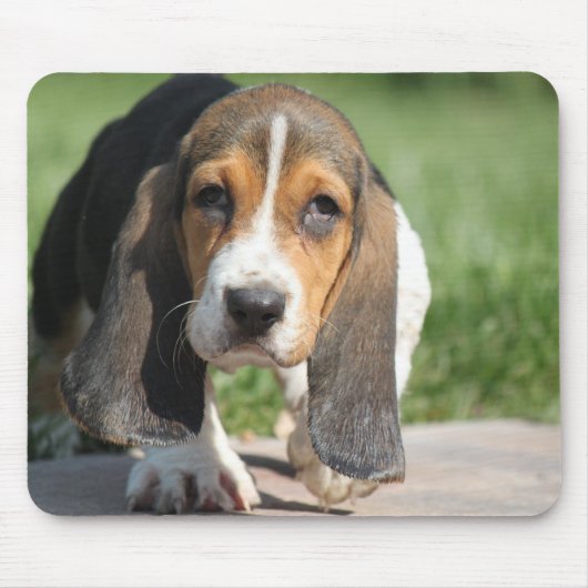 Tapis De Souris Basset Hound Mousepad (Devant)