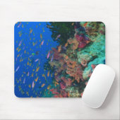 Tapis De Souris Basslets Fées en banc (Pseudanthias (Avec souris)