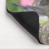 Tapis De Souris Bath Mousepad de Prothonotary (Coin)