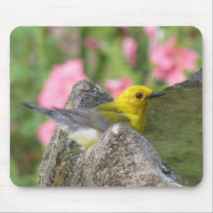 Tapis De Souris Bath Mousepad de Prothonotary